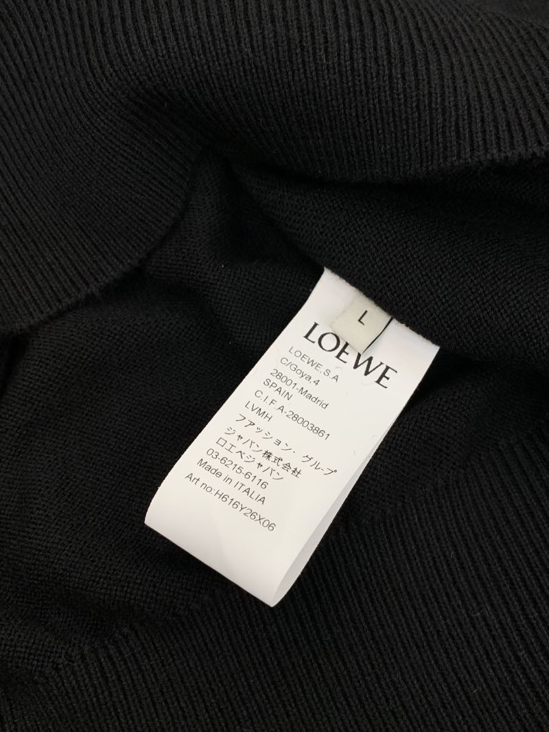 Loewe Sweaters